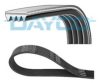 DAYCO 4PK1290 V-Ribbed Belts